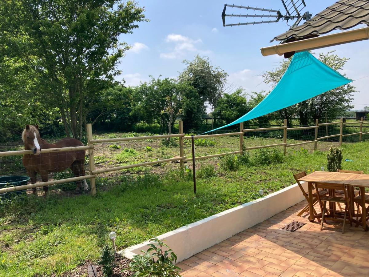 Gite De Blay Exteriér fotografie